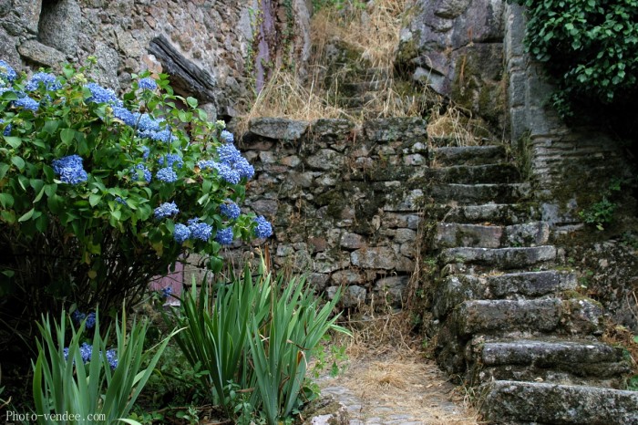 Escalier maison saint laurent sur sèvre