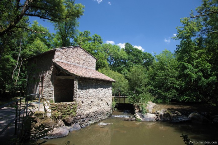 Moulin de l'Etourneaux à Saint Laurent sur Sèvre