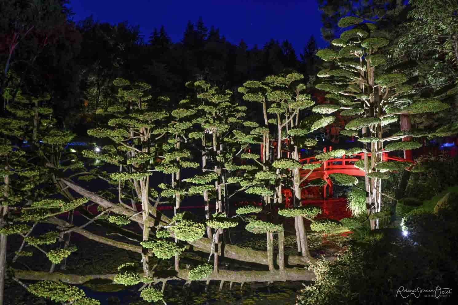 Parc oriental de Maulévrier la nuit