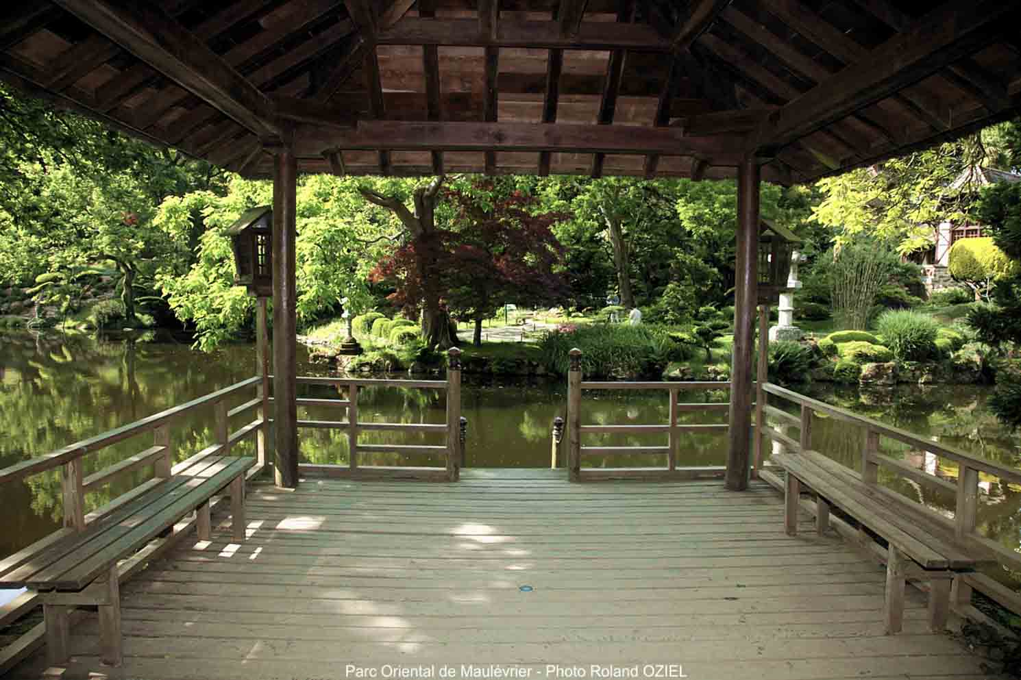 Visite du parc oriental de Maulévrier